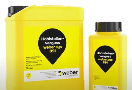Verwerking van weber.sys 891